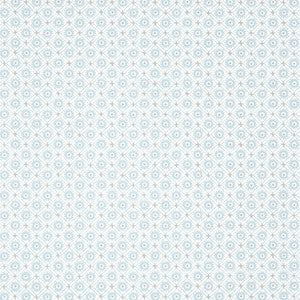 Mini Sun Robin's Egg AT24567 by Anna French Wallpaper