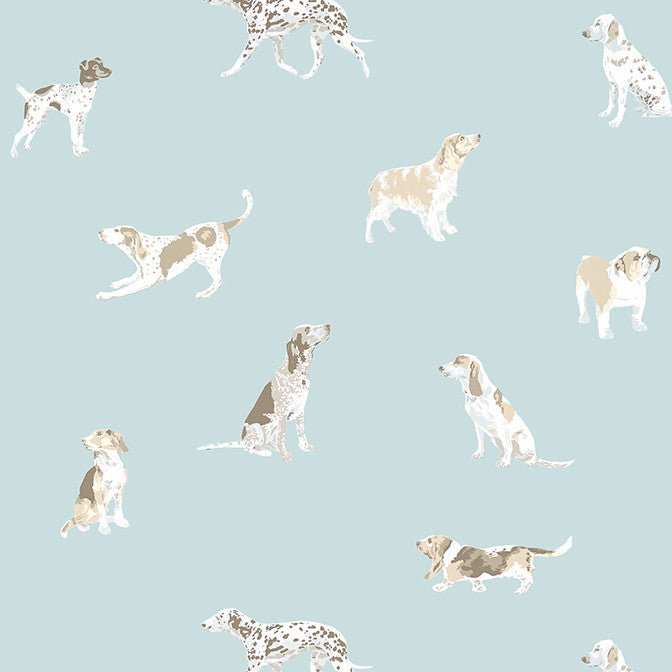 Buddy Robin's Egg AT24603 by Anna French Wallpaper Anna French Wallpaper Buddy Robin's Egg AT24603Wallpaper Devon Wallpaper UNITED STATES </p><p>Repeat: V: 25.25 27 - Fabric Carolina -