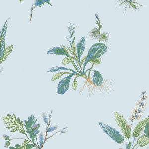 Woodland Blue and Green AT57851 by Anna French Wallpaper