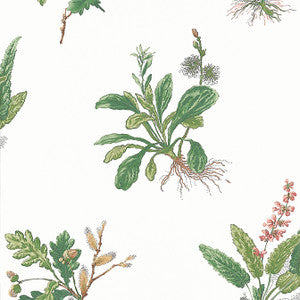 Woodland Green and Blush AT57852 by Anna French Wallpaper