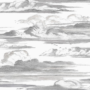 Cielo Black and White AT57872 by Anna French Wallpaper