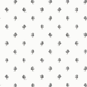 Ashton Black and White AT57876 by Anna French Wallpaper