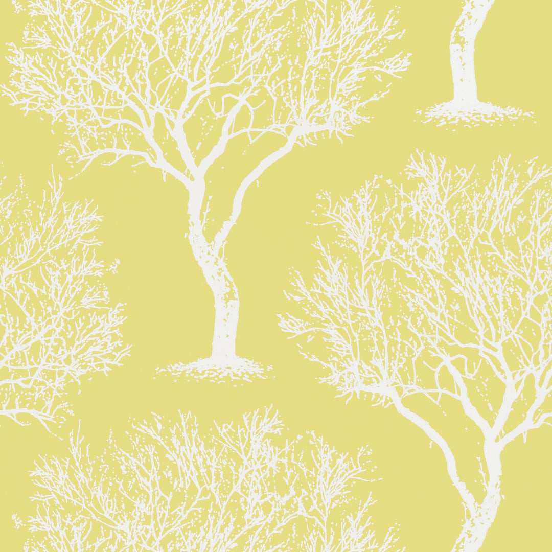 WINFELL FOREST - Citron By Anna French Wallpaper