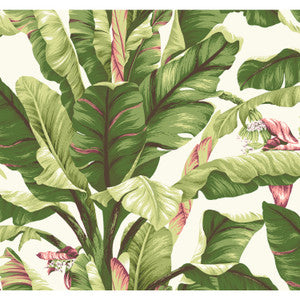Banana Leaf Dark Brown & Pink Wallpaper by York Wallcoverings