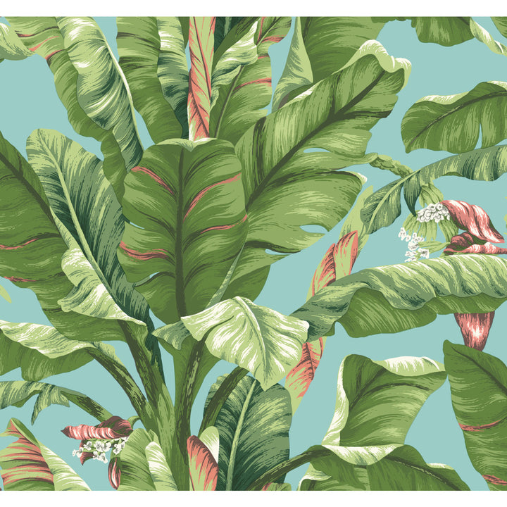 Banana Leaf Aqua & White Wallpaper by York Wallcoverings Ashford Tropics Covers about 60.8 square feet 27-in by 27-ft long roll Prepasted 25.25 - Fabric Carolina -