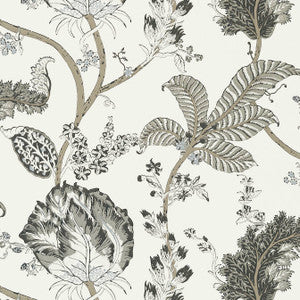 Kalamkari Vine Black and White AT78739 by Anna French Wallpaper