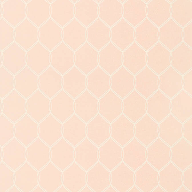 Leland Trellis Pink AT79146 by Anna French Wallpaper Anna French Wallpaper Leland Trellis Pink AT79146Wallpaper Small Scale Non Woven Wallpaper UNITED KINGDOM </p><p>Repeat: V: 5 20.5 - Fabric Carolina -