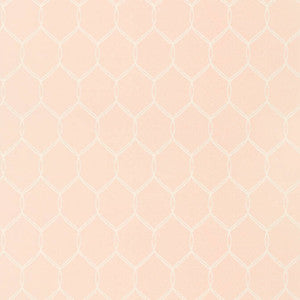 Leland Trellis Pink AT79146 by Anna French Wallpaper