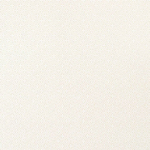 Arlen Trellis Ivory AT79174 By Anna French Wallpaper