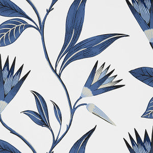 Cleo Vine Blue and White AT9621 by Anna French Wallpaper