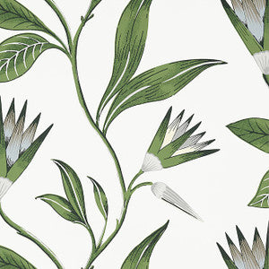 Cleo Vine Green and White AT9622 by Anna French Wallpaper