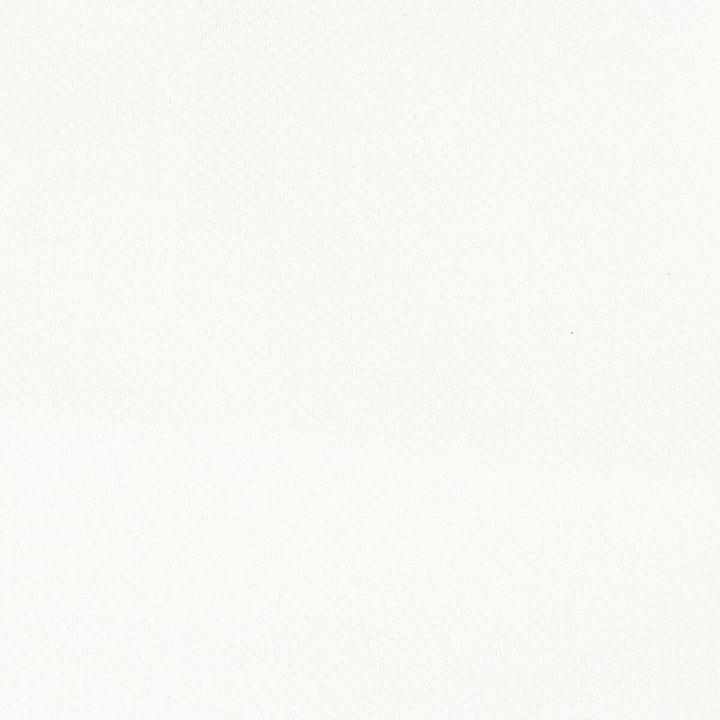 Atwood 1 White by Crypton Fabric COMFORTABLE LIVING IVORY/SAND 100%POL CHINA FLAME RETARDANT-N.F.P.A. 260A CLASS 1 CATB 117-2013 WYZENBEEK 50 000 DOUBLE RUB WEAR TEST (HEAVY DUTY) Horizontal: 0 and Vertical: 0 54 in - Fabric Carolina -