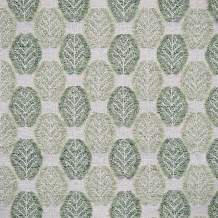 Arborio # 351 Celadon by Maxwell Fabric Color Theory-Vol.Viii Rosemary 57% POLYESTER
43% COTTON INDIA V-3.8" H-3.4" 55" - Fabric Carolina -