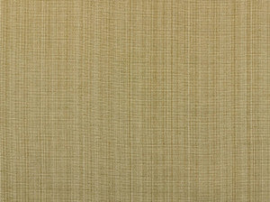 Aurora Seashell 114 by Covington Fabric