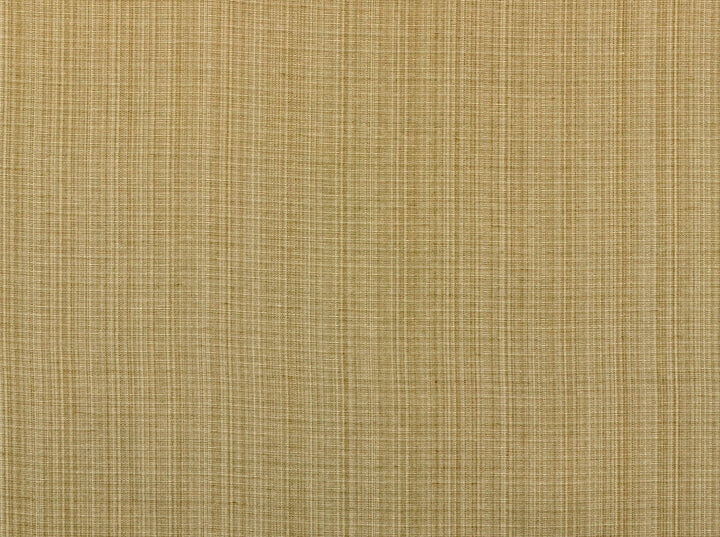 Aurora Seashell 114 by Covington Fabric 59% POLYESTER/41% COTTON INA 25000 Horizontal: 0.85 and Vertical: 1.7 54 - Fabric Carolina -