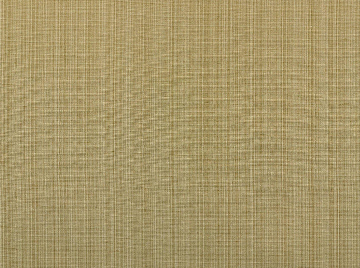 Aurora Seashell 114 by Covington Fabric our website for purchase 59% Polyester/41% Cotton India 50000 Horizontal: 0.85" and Vertical: 1.7" 54" - Fabric Carolina -