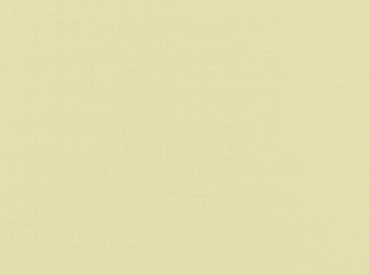 Aurora 134 French Vanilla by Covington Fabric 59% POLYESTER/41% COTTON India 25000 Horizontal: 0.85 and Vertical: 1.7 54 - Fabric Carolina -