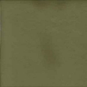 Aurora Avocado 326 by Norbar Fabric See Sample 100% POLYESTER CHINA - </p><p>Repeat: Horizontal: - and Vertical: - 57" - Fabric Carolina -