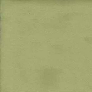 Aurora Grass 321 by Norbar Fabric