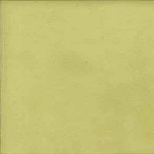 Aurora Parrot 308 by Norbar Fabric See Sample 100% POLYESTER CHINA - </p><p>Repeat: Horizontal: - and Vertical: - 57" - Fabric Carolina -