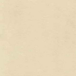 Aurora Sugarcane 025 by Norbar Fabric See Sample 100% POLYESTER CHINA 48,000 WYZENBEEK 57" - Fabric Carolina -