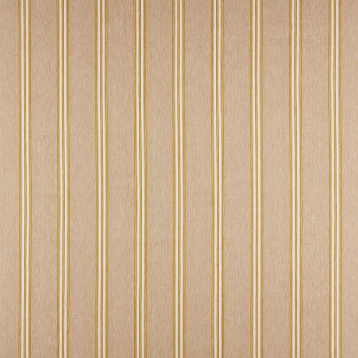 Ashford # 622 Pollen by Maxwell Fabric Stripes & Checks Iii 63% COTTON
37% POLYESTER INDIA H-3.9" 56" - Fabric Carolina -
