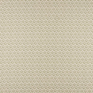 Aster # 503 Sage by Maxwell Fabric