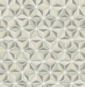 Einstein Geometric Metallic Gold and Metallic Silver by Seabrook Wallpaper