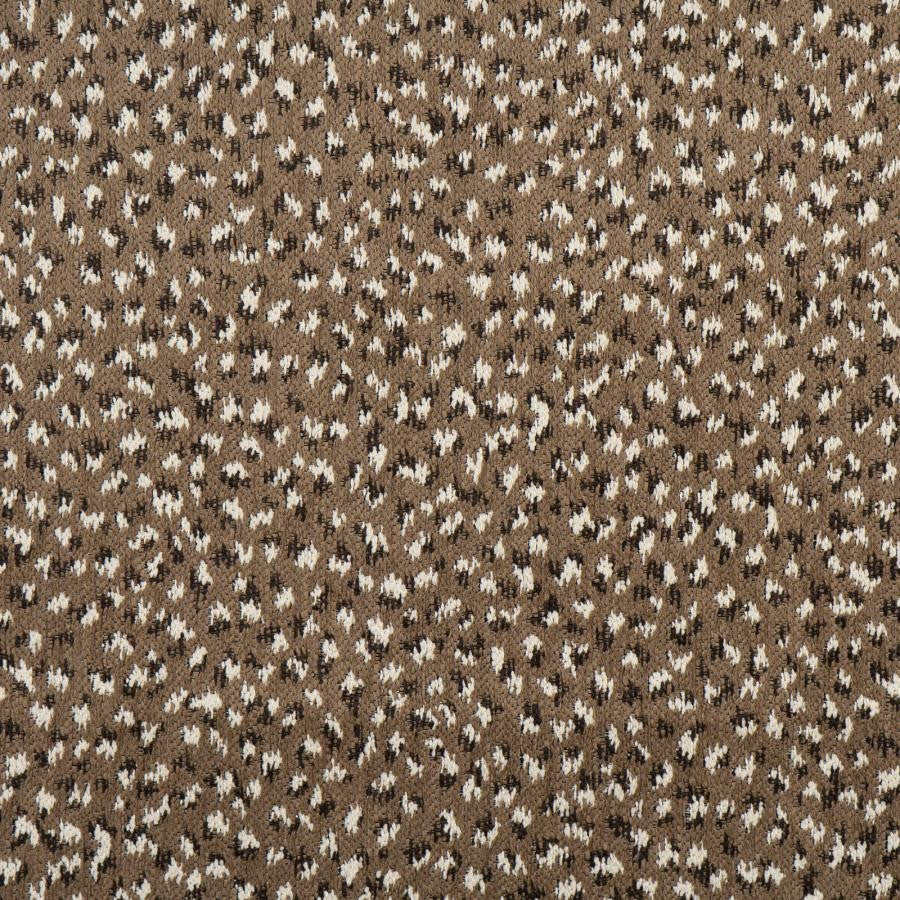 Ainslie # 724 Pebble by Maxwell Designer Fabric Performance Wovens-Vol. Viii Quarry 84% POLYESTER
16% COTTON USA V-13.9" H-14" 55" - Swanky Fabrics -
