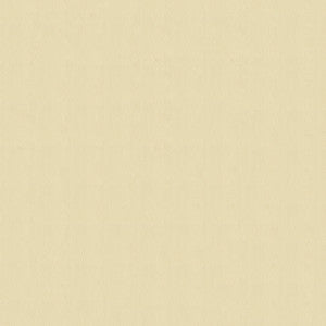 Avalon 528575 Lamb's Wool by ABBEYSHEA Fabric