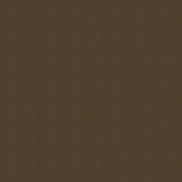 Avalon 528576 Latte by ABBEYSHEA Fabric N/A 100% Polyester China 165,000 Double Rubs </p><p>Repeat: Horizontal: and Vertical: 56" (142 cm) - Fabric Carolina -