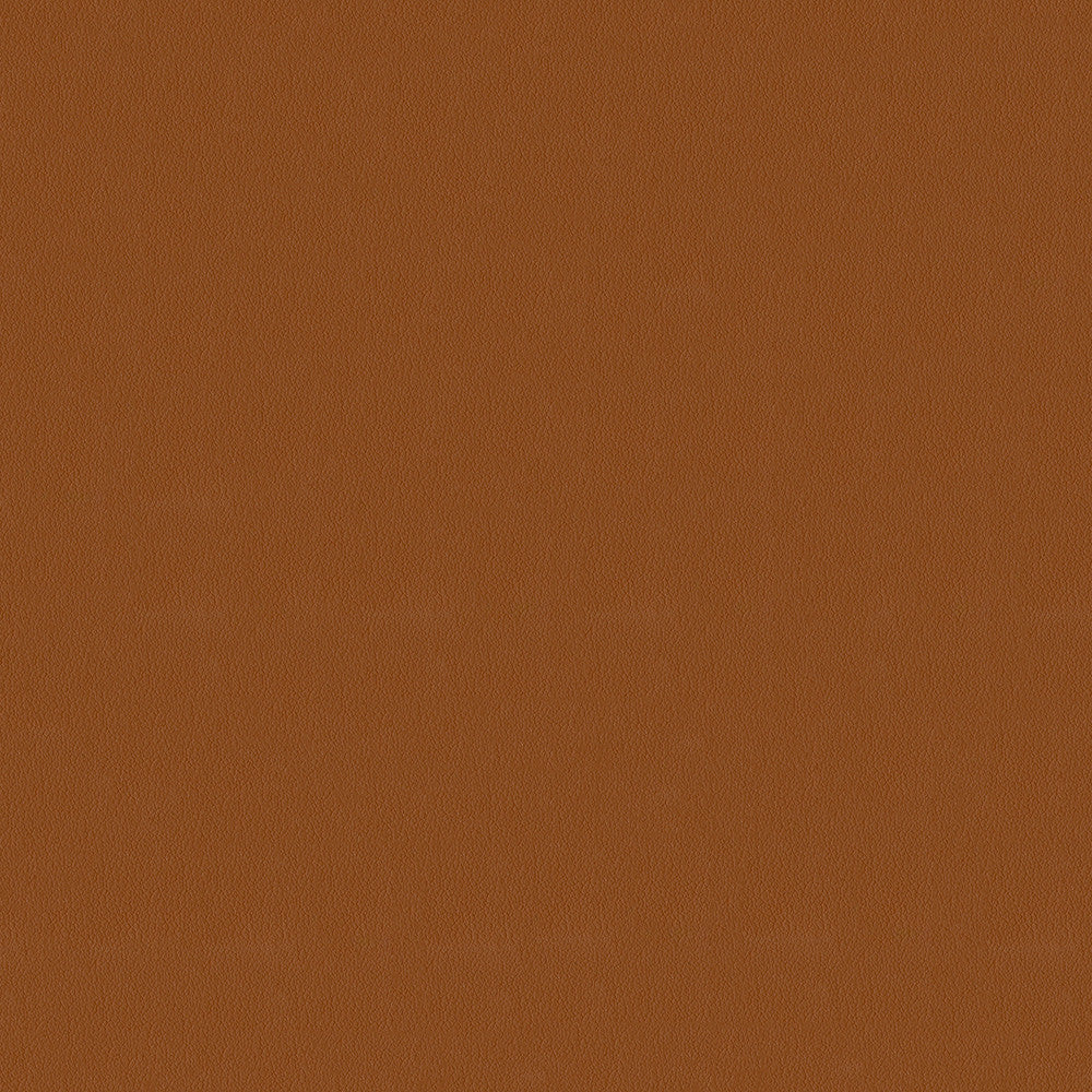 Avalon 528579 Pumpkin by ABBEYSHEA Fabric N/A 100% Polyester China 165,000 Double Rubs </p><p>Repeat: Horizontal: and Vertical: 56" (142 cm) - Fabric Carolina -