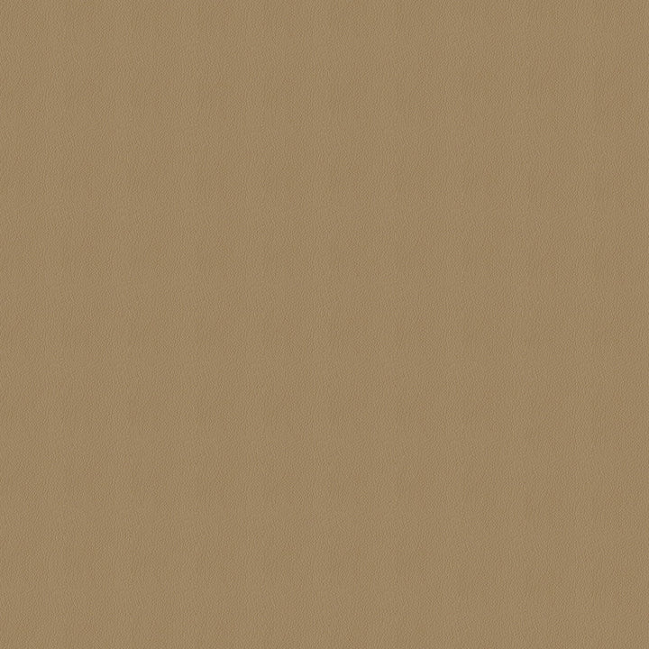 Avalon 528582 Sahara by ABBEYSHEA Fabric N/A 100% Polyester China 165,000 Double Rubs </p><p>Repeat: Horizontal: and Vertical: 56" (142 cm) - Fabric Carolina -