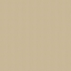Avalon 528583 Sand Dune by ABBEYSHEA Fabric