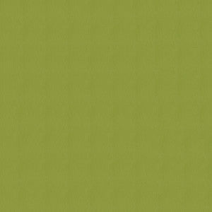 Avalon 528608 Sprout by ABBEYSHEA Fabric