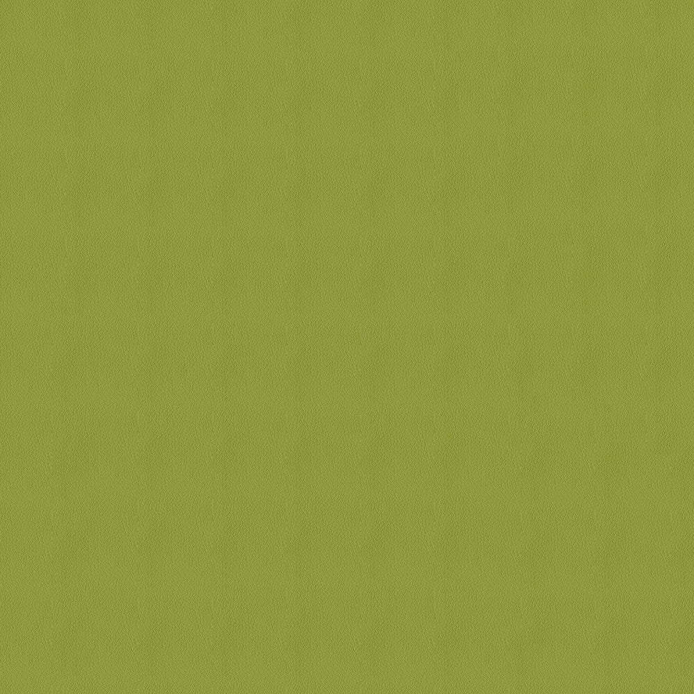 Avalon 528608 Sprout by ABBEYSHEA Fabric 100% Polyurethane (PU) China 400,000 Double Rubs (Wyzenbeek) </p><p>Repeat: Horizontal: and Vertical: 54" (137 cm) - Fabric Carolina -