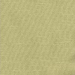 Avalon Spring by Norbar Fabric