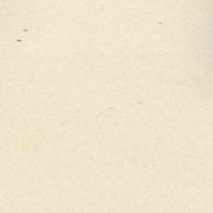 Avery Eggshell 209 by Norbar Fabric 100% POLYESTER CHINA 48,000 WYZENBEEK </p><p>Repeat: 57" - Fabric Carolina -
