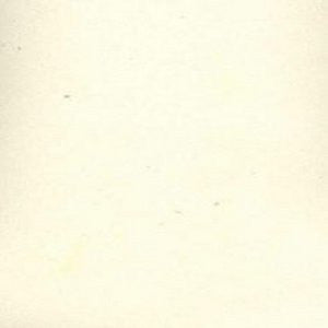Avery Ivory 202 by Norbar Fabric 100% POLYESTER CHINA 48,000 WYZENBEEK </p><p>Repeat: 57" - Fabric Carolina -