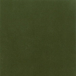 Avila 11 Boxwood by Crypton Fabric