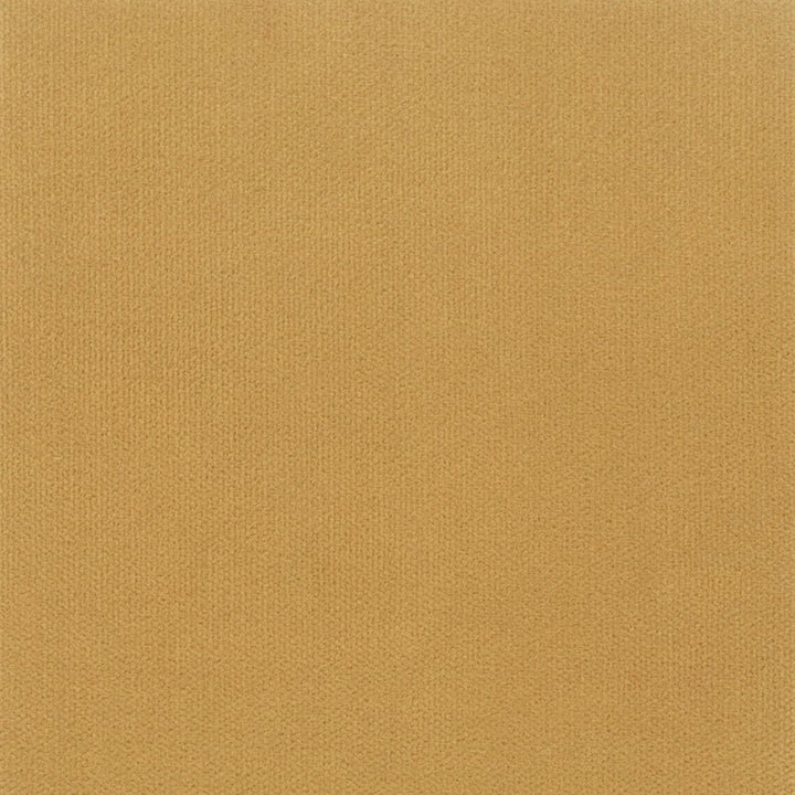 Avila 14 Chamois by Crypton Fabric Sitting Pretty 100% Polyester SOUTH KOREA FLAME RETARDANT-U.F.A.C. CLASS 1 (OR A) CATB 117-2013 WYZENBEEK 100 000 DOUBLE RUB WEAR TEST (HEAVY DUTY) Horizontal: 0 and Vertical: 0 54.75 in - Fabric Carolina -