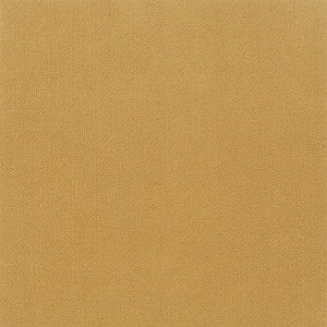 Avila 14 Chamois by Crypton Fabric