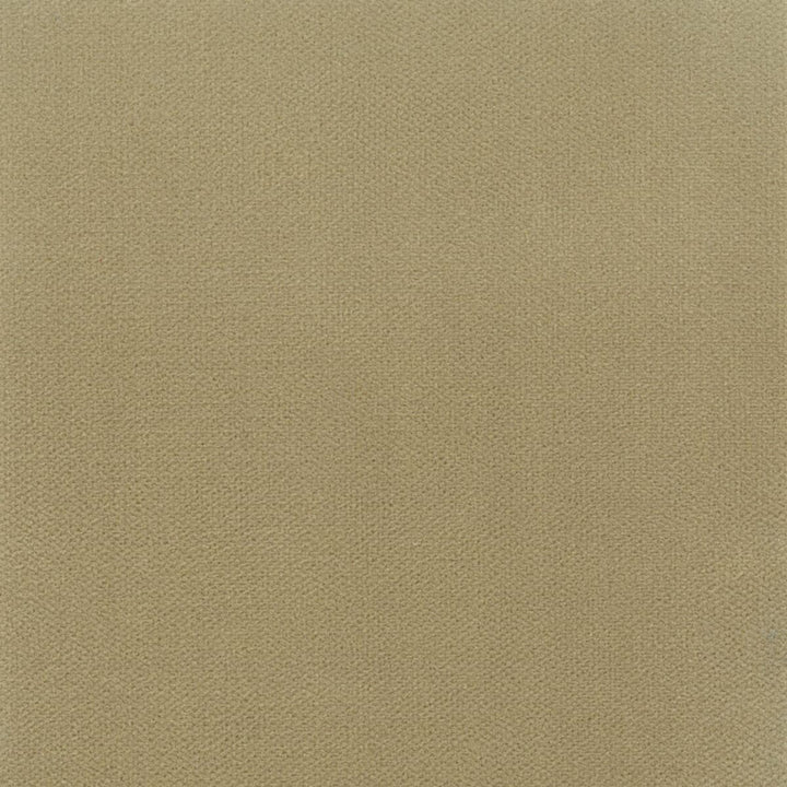 Avila 18 Khaki by Crypton Fabric SITTING PRETTY 100%POL SOUTH KOREA FLAME RETARDANT-U.F.A.C. CLASS 1 CATB 117-2013 WYZENBEEK 100 000 DOUBLE RUB WEAR TEST (HEAVY DUTY) Horizontal: 0 and Vertical: 0 54.75 in - Fabric Carolina -