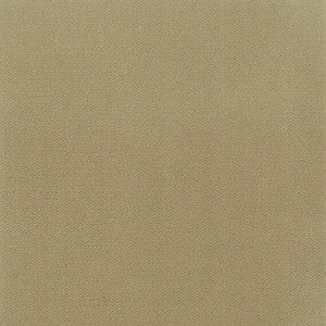 Avila 18 Khaki by Crypton Fabric