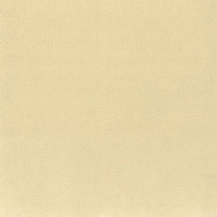 Avila 26 Wheat by Crypton Fabric Sitting Pretty 100% Polyester SOUTH KOREA FLAME RETARDANT-U.F.A.C. CLASS 1 (OR A) CATB 117-2013 WYZENBEEK 100 000 DOUBLE RUB WEAR TEST (HEAVY DUTY) Horizontal: 0 and Vertical: 0 54.75 in - Fabric Carolina -