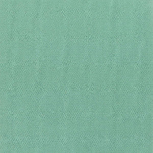 Avila 28 Bahama by Crypton Fabric