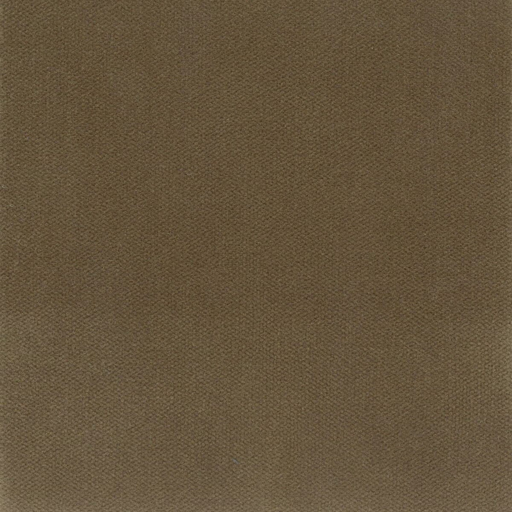 Avila 34 Mushroom by Crypton Fabric Crypton Fabric Avila 34 MushroomFabric SITTING PRETTY SOUTH KOREA </p><p>Repeat: H: 0.000, V: 0.000 54.75 in - Fabric Carolina -