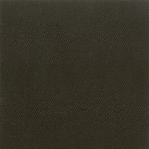 Avila 6 Shadow by Crypton Fabric