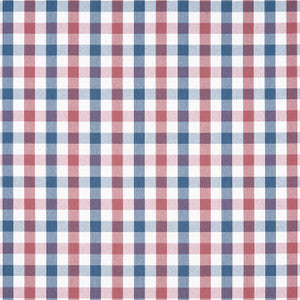 Saybrook Check Blue and Red AW15153 by Anna French Fabric