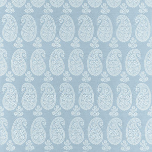 Campania Paisley Robin's Egg AW16108 by Thibaut Fabric